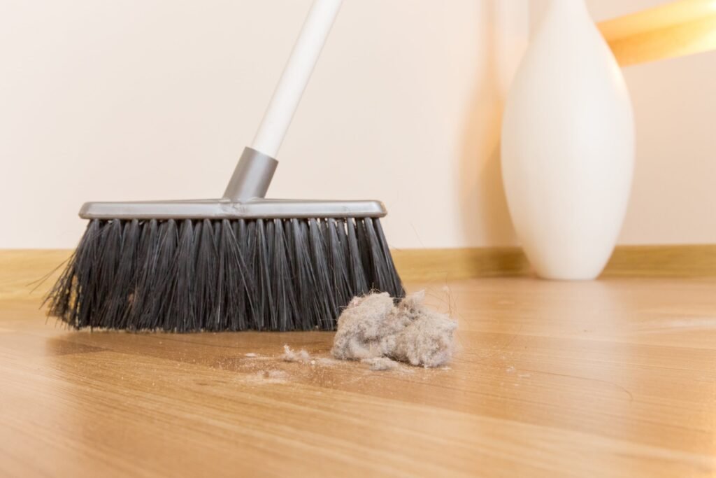 Mariakray Broom 6786528 1024x683
