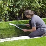 Ronporter Box Hedge Topiary 869073 150x150