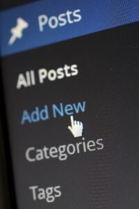 WordPress dashboard showing the Posts section with All Posts, Add New, Categories, and Tags.